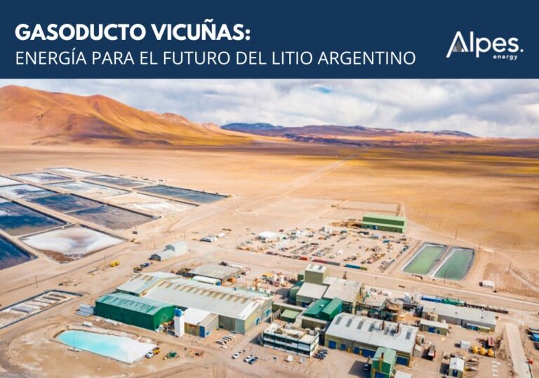 gasoducto vicuñas