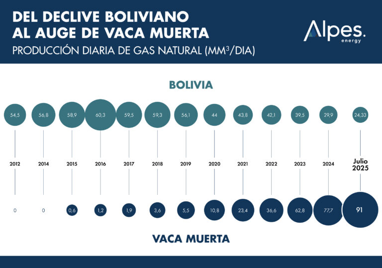 vaca muerta (2)