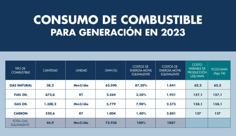 consumo de combustible2023