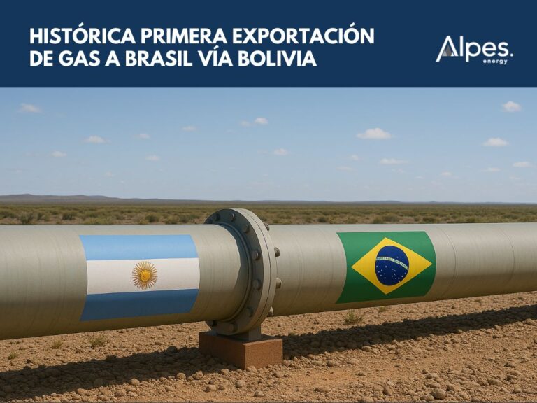exportacion a brasil