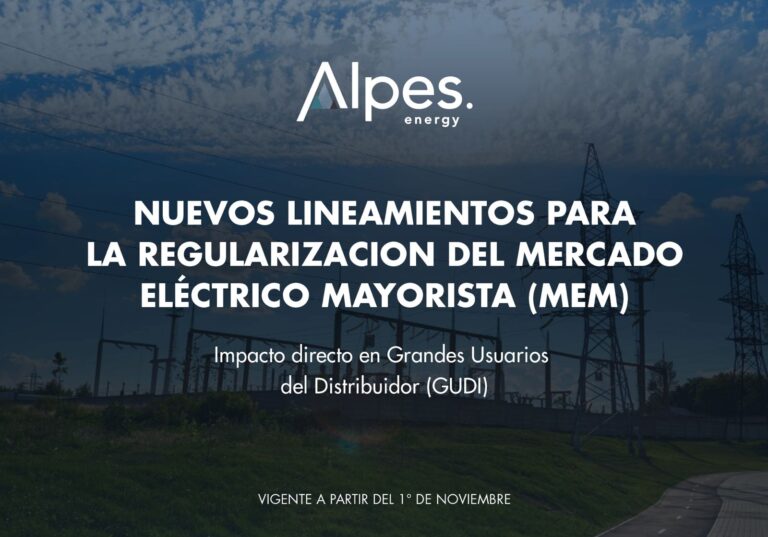 nuevsos lineaminetos