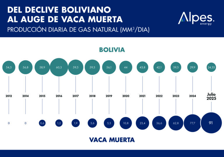 vaca muerta (1)